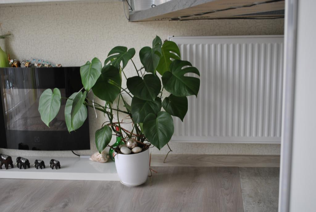 I Love Heviz Apartments Екстериор снимка