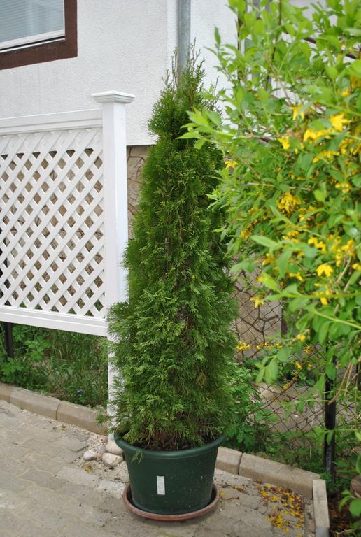 I Love Heviz Apartments Екстериор снимка